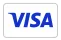 Visa payment